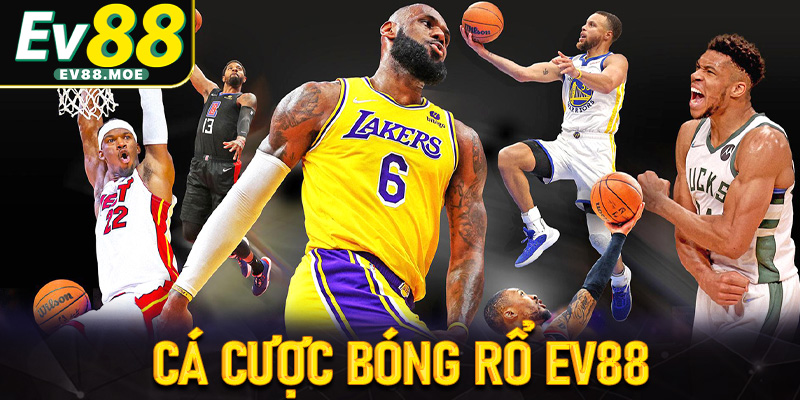 Cá cược bóng rổ